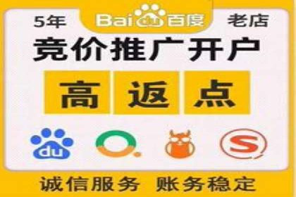 某企业通过开户返点实现业绩翻倍的案例